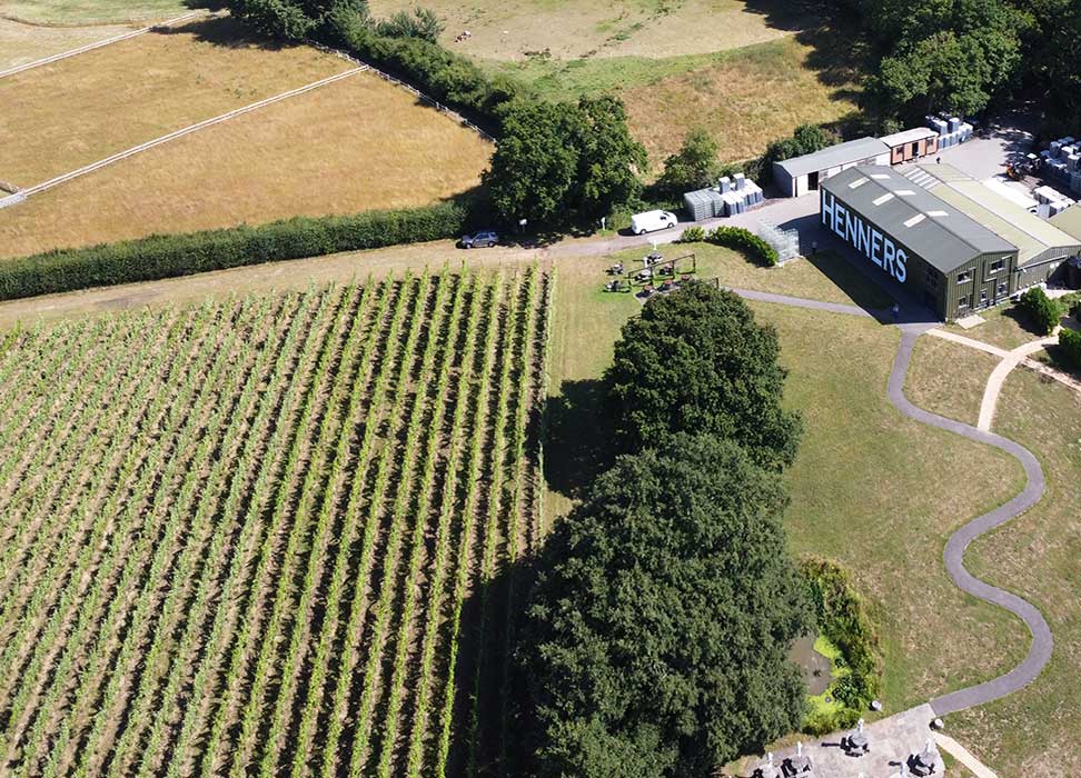 A Sussex Vineyard from the air