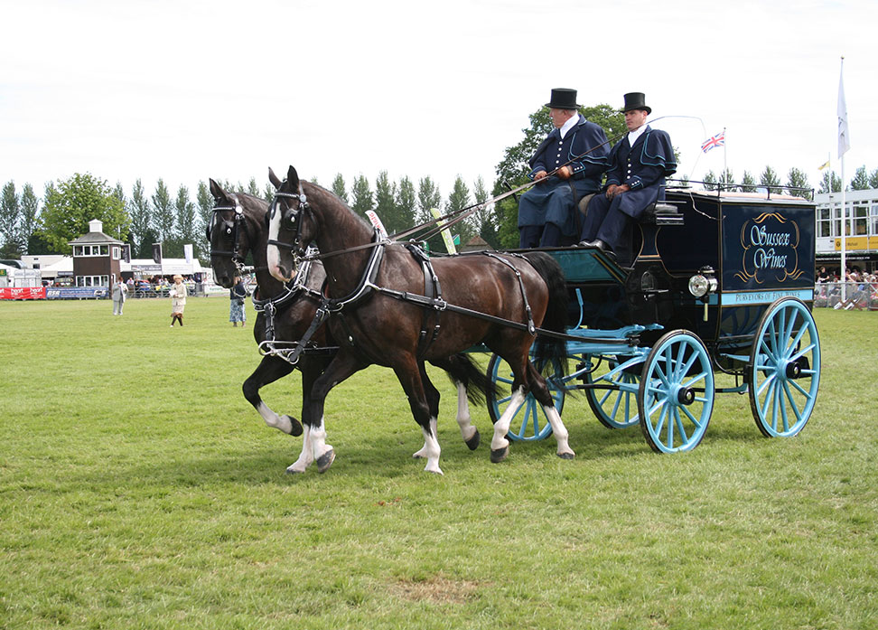 Heavy horses towing Sussex Wines carriage in navy and blue with two coachmen at the South of England Showground